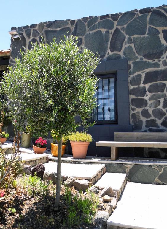 Casa Vista Bandama Vivienda Vacacional Tafira المظهر الخارجي الصورة