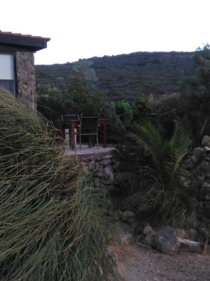 Casa Vista Bandama Vivienda Vacacional Tafira المظهر الخارجي الصورة